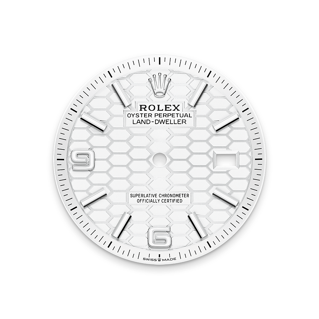 Diamond Cellar Rolex