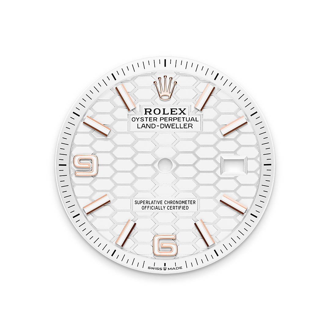 Diamond Cellar Rolex