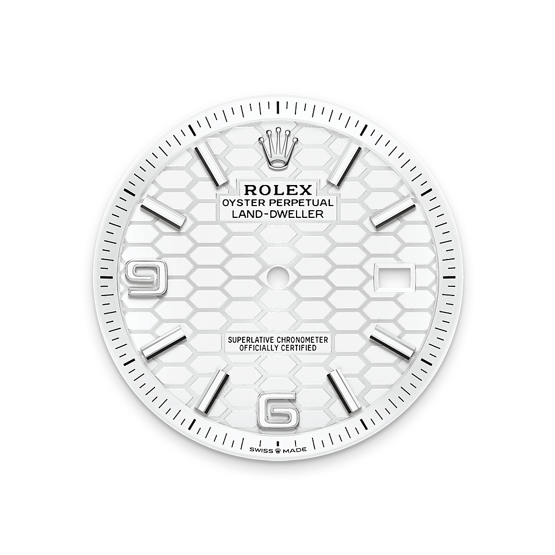 Diamond Cellar Rolex