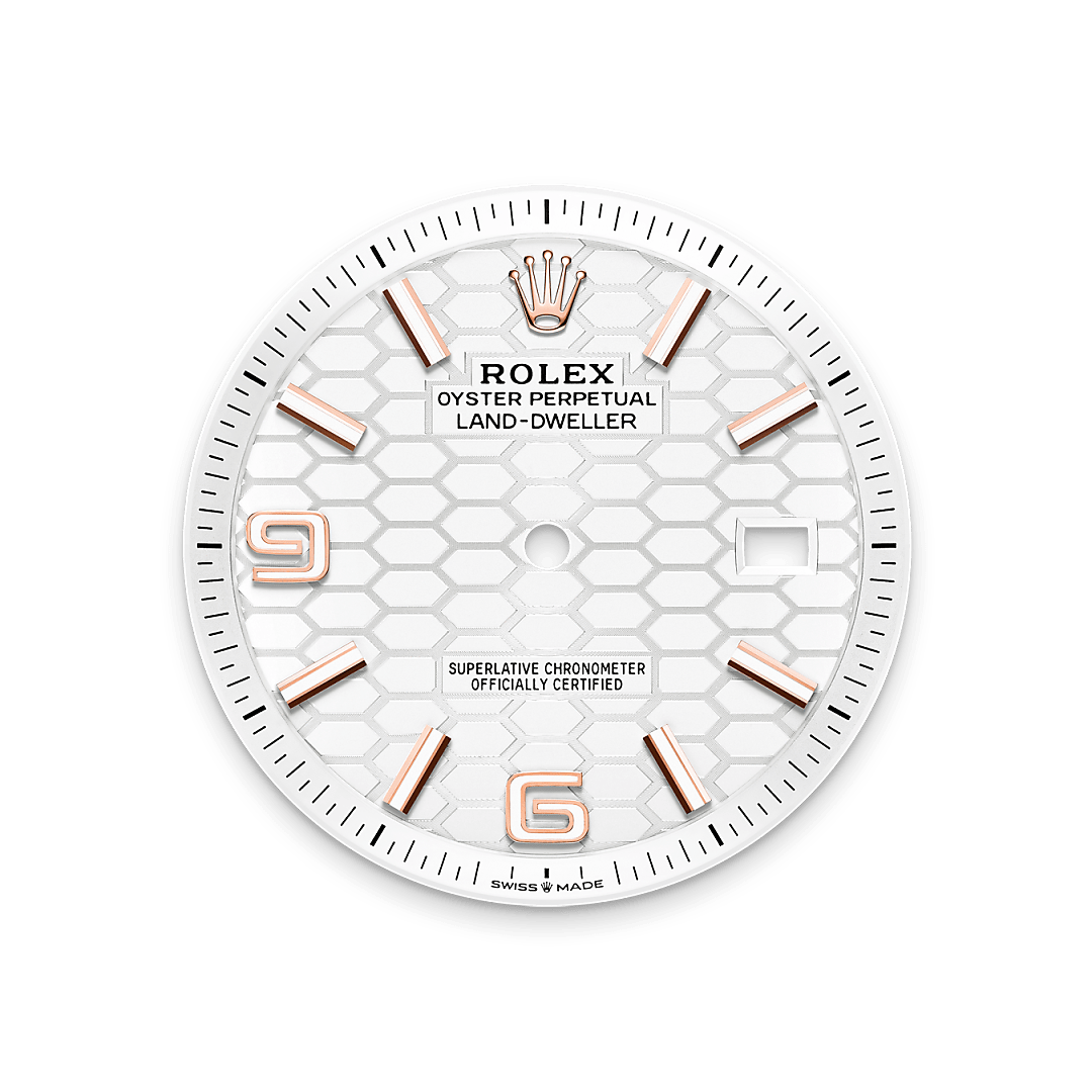 Diamond Cellar Rolex